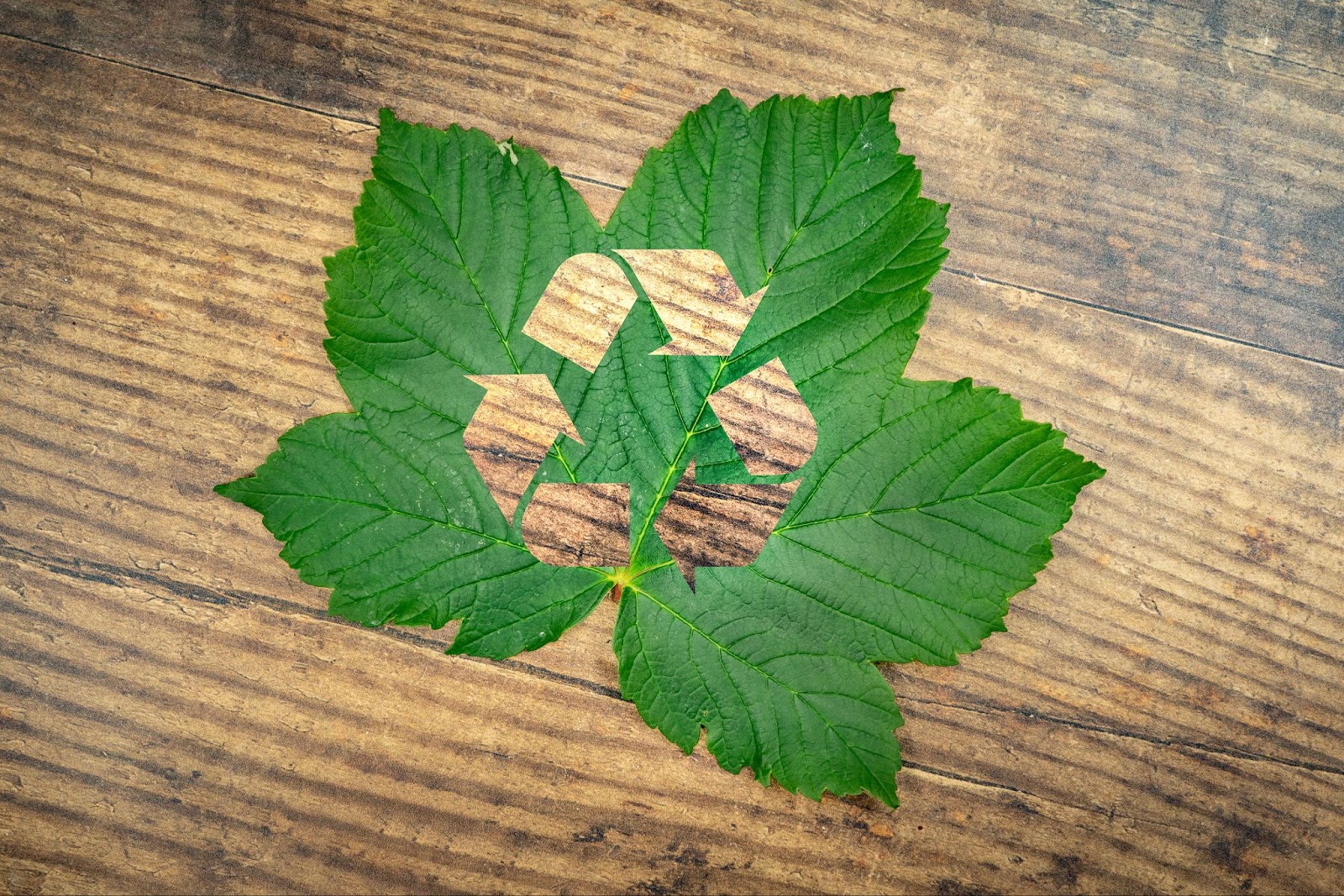 sustainable packaging for businesses