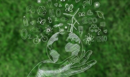 B Corp Certification