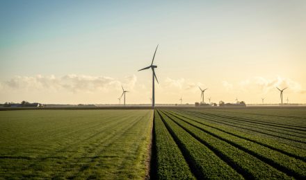 Carbon Neutral Shipping
