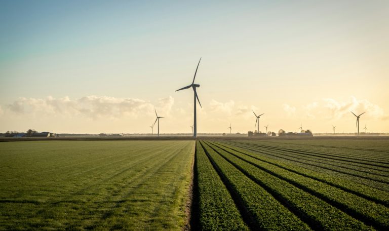 Carbon Neutral Shipping