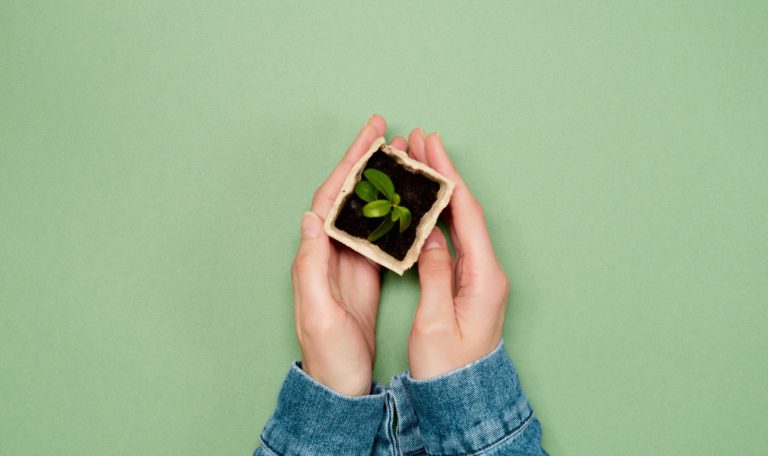 Sustainable eCommerce Brand